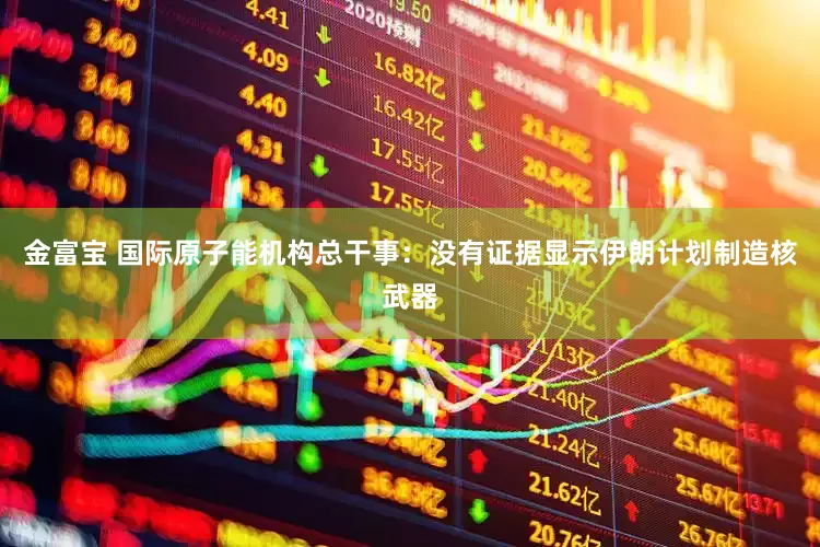 金富宝 国际原子能机构总干事：没有证据显示伊朗计划制造核武器