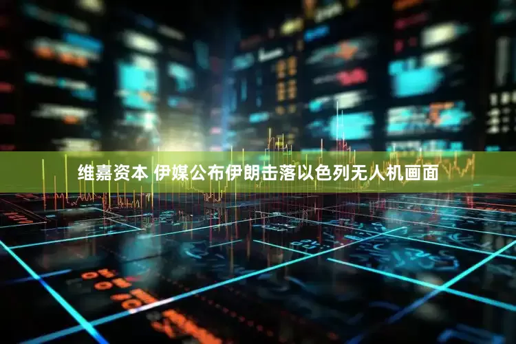 维嘉资本 伊媒公布伊朗击落以色列无人机画面