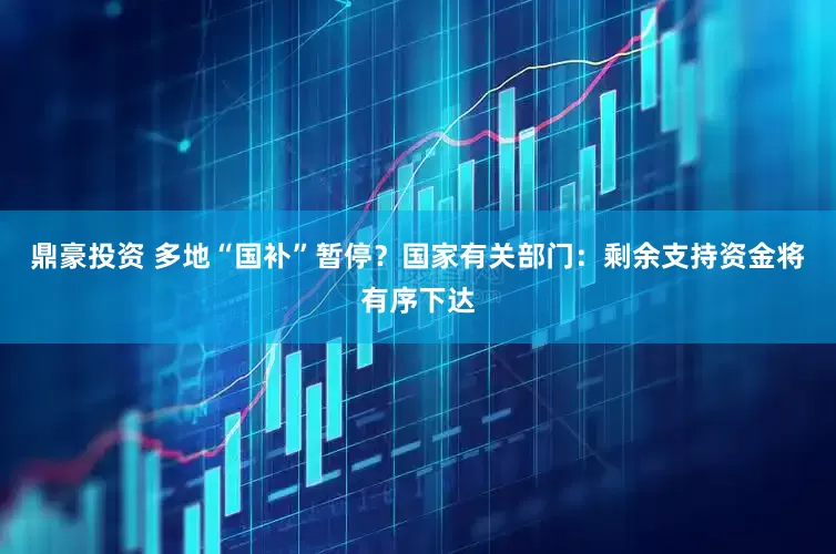 鼎豪投资 多地“国补”暂停？国家有关部门：剩余支持资金将有序下达