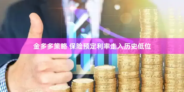 金多多策略 保险预定利率走入历史低位