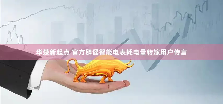 华楚新起点 官方辟谣智能电表耗电量转嫁用户传言