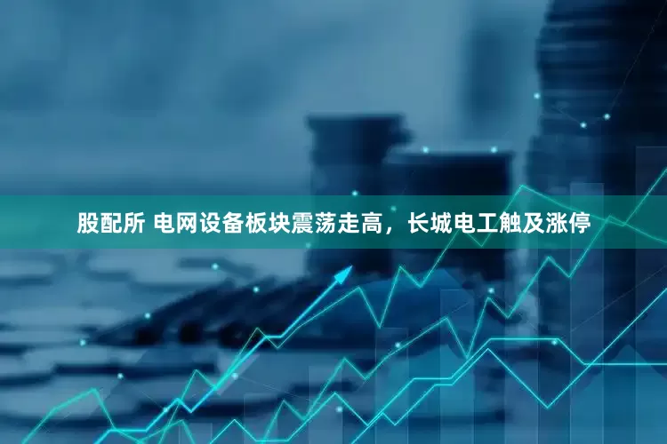 股配所 电网设备板块震荡走高，长城电工触及涨停