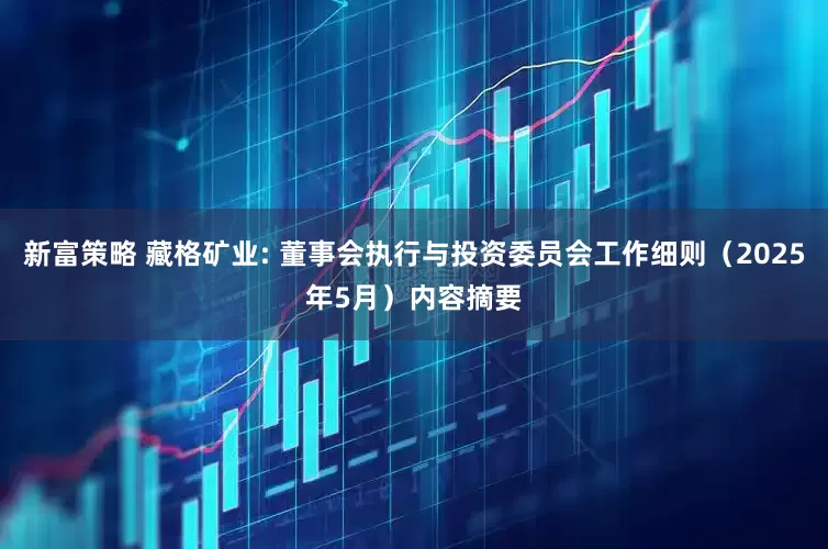 新富策略 藏格矿业: 董事会执行与投资委员会工作细则（2025年5月）内容摘要