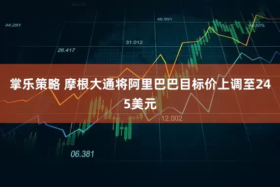 掌乐策略 摩根大通将阿里巴巴目标价上调至245美元